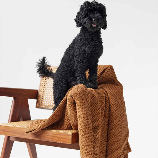 Kanelbrunt (Cinnamon) vaffelvevd pledd i 53 % lin og 47 % bomull drapert over en stol, med en svart hund sittende på pleddet.