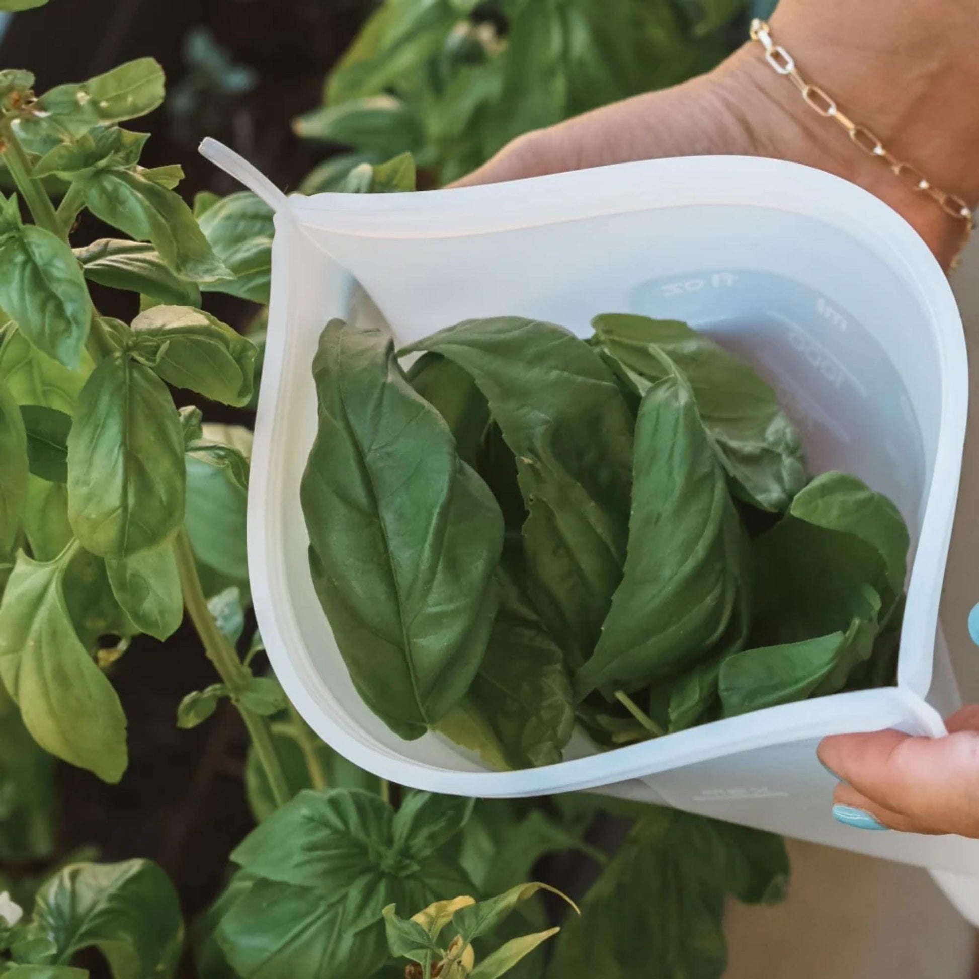 Gjenbrukbare silikonposer fra Seed & Sprout fylt med fersk spinat – et plastfritt og bærekraftig alternativ for oppbevaring av grønnsaker og ferdigkuttet mat.