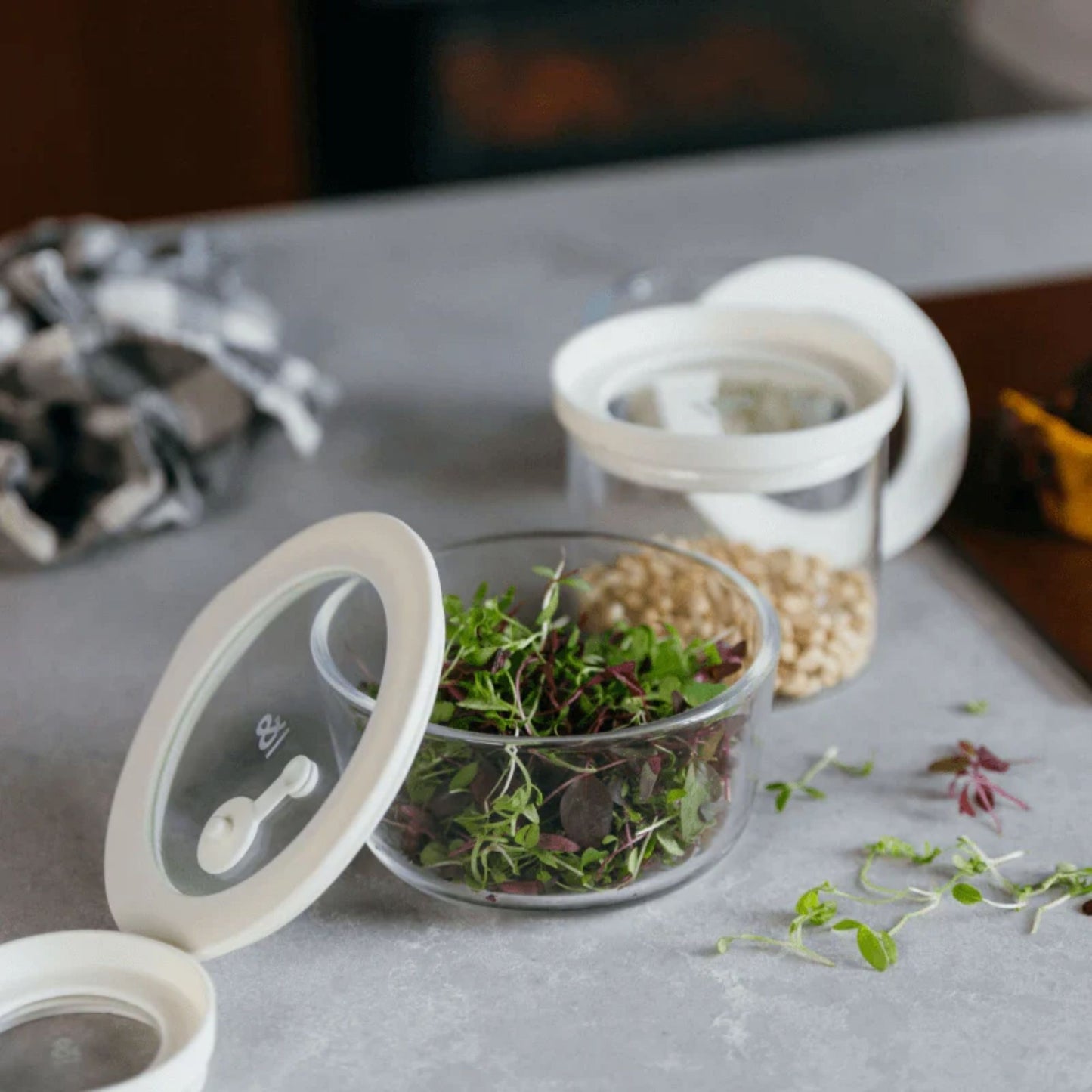 Rund glassbeholder i borosilikatglass fylt med friske urter, med glasslokk og silikonforsegling på kjøkkenbenk.