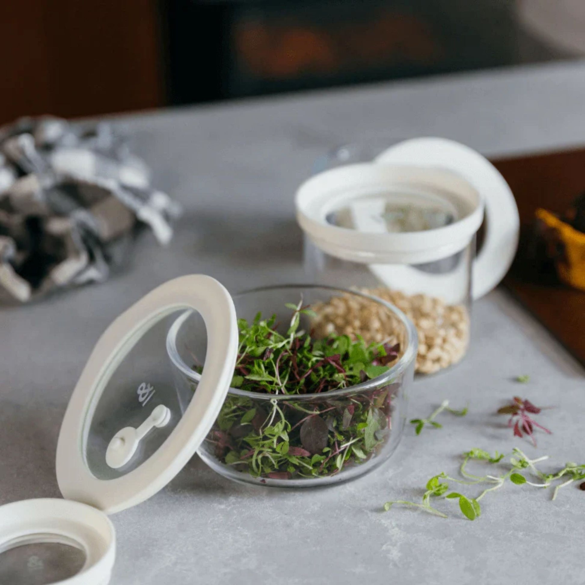 Rund glassbeholder i borosilikatglass fylt med friske urter, med glasslokk og silikonforsegling på kjøkkenbenk.