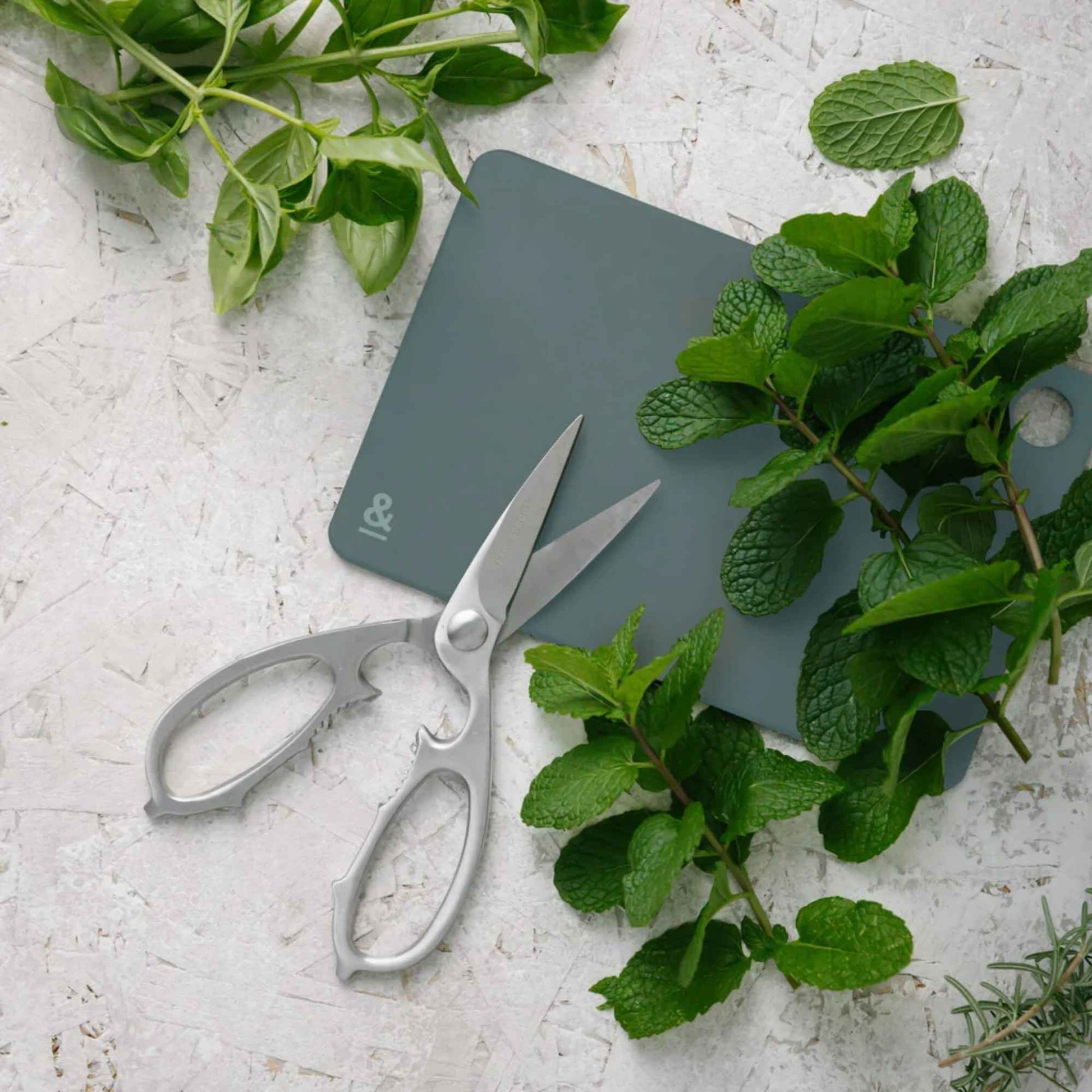 Mini Wood Fibre skjærefjøl i fargen Eucalyptus brukt til urter, vist sammen med kjøkkensaks og fersk grønt.