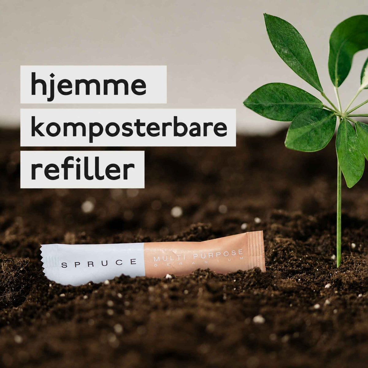 Spruce hjemmekomposterbar refill for naturlig rengjøring, vist i jord ved en grønn plante.